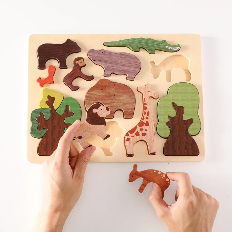 Assorted Wooden Jigsaw Puzzle