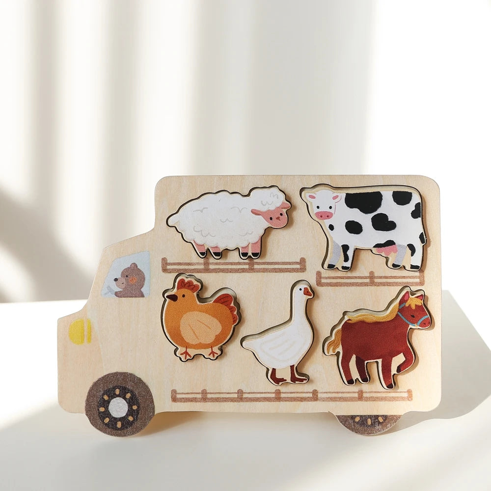 Montessori Matching Puzzle Board